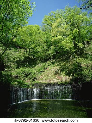 Shiraito Falls Flowing From Forest in Nagano Prefecture, Japan View Large Photo Image Stock Image - Shiraito Falls Flowing From Forest in Nagano Prefecture, Japan. Fotosearch