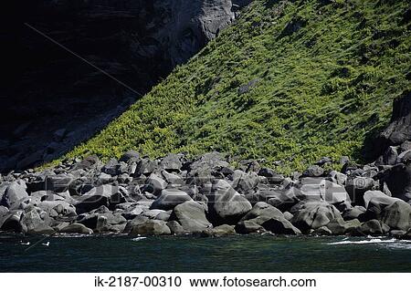 Stock Image - Shiretoko Peninsula, Hokkaido, Japan. Fotosearch