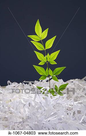 Shredded Paper View Large Photo Image Stock Image - Shredded Paper. Fotosearch