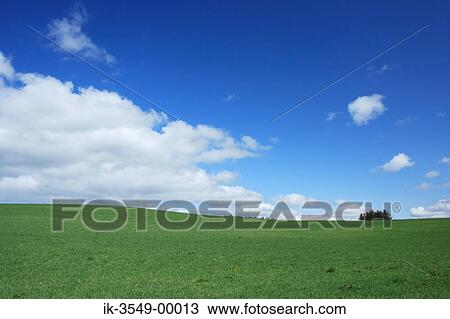 Stock Image - Sloping green grassland against cloudy sky. Fotosearch