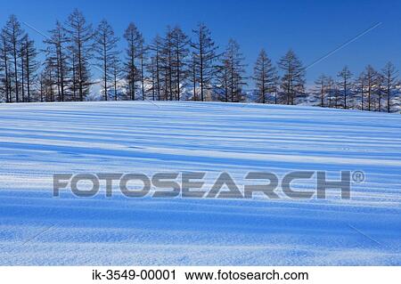 Stock Image - Snow-covered trees in snowfield with mountains in background. Fotosearch