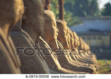 Sphinx at Luxor Temple in Egypt View Large Photo Image Stock Photograph - Sphinx at Luxor Temple in Egypt. Fotosearch