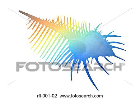 Stock Image - Spiny Woodcock. Fotosearch