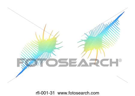 Spiny Woodcock View Large Photo Image Stock Image - Spiny Woodcock. Fotosearch