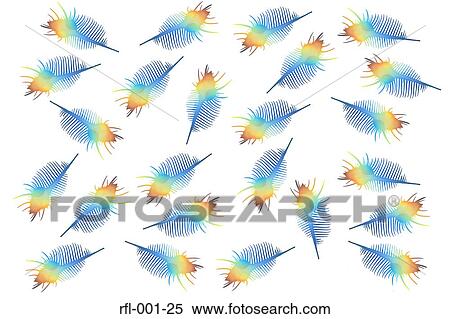 Stock Photography - Spiny Woodcock. Fotosearch