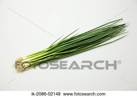 Spring onions on white background View Large Photo Image Stock Photo - Spring onions on white background. Fotosearch