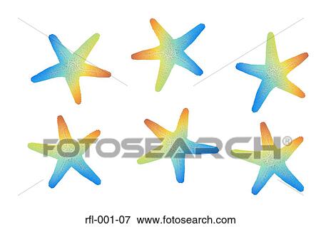 Starfish View Large Photo Image Stock Photo - Starfish. Fotosearch