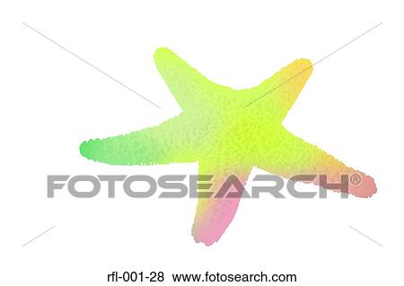 Stock Photo - Starfish. Fotosearch