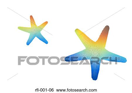 Starfish View Large Photo Image Stock Photograph - Starfish. Fotosearch