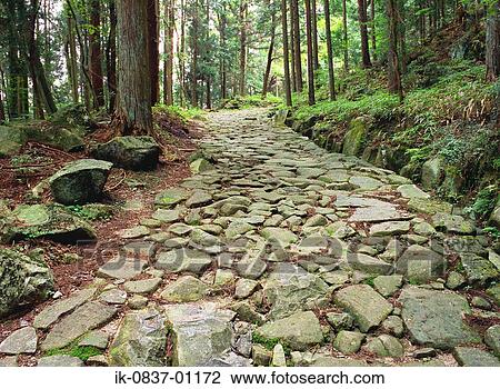Stone pathway passing from forest View Large Photo Image Stock Image - Stone pathway passing from forest. Fotosearch
