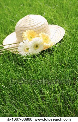 Straw Hat View Large Photo Image Stock Image - Straw Hat. Fotosearch