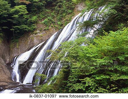 Stream of water passing through forest View Large Photo Image Stock Photo - Stream of water passing through forest . Fotosearch
