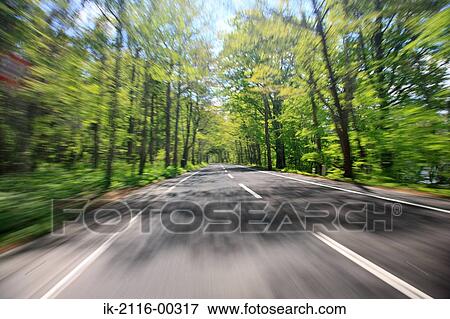 Sunbeams Shining Through Branches of Tree in Empty Road View Large Photo Image Stock Photo - Sunbeams Shining Through Branches of Tree in Empty Road. Fotosearch
