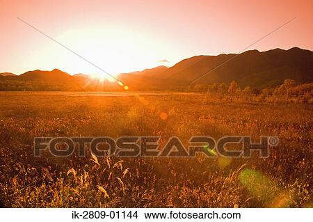 Sunset in Autumn Field, Tochigi Prefecture View Large Photo Image Picture - Sunset in Autumn Field, Tochigi Prefecture. Fotosearch