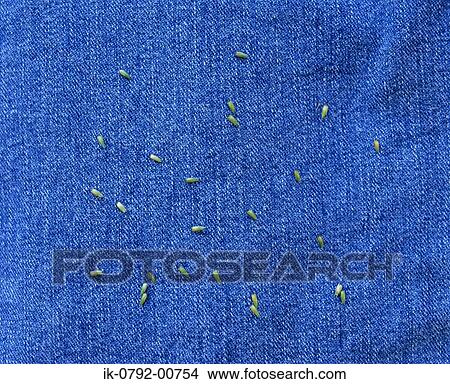 Picture - Thistle Attached To Medicinal Herbclothes. Fotosearch