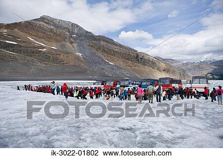 Tourists at Columbia Ice Field in Canada View Large Photo Image Stock Image - Tourists at Columbia Ice Field in Canada. Fotosearch
