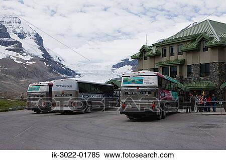 Stock Photography - Tourists Standing Near Columbia Ice Field in Canada. Fotosearch