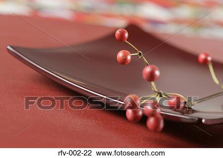 Twig and Berries View Large Photo Image Stock Image - Twig and Berries. Fotosearch