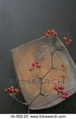 Stock Image - Twig on Plate. Fotosearch