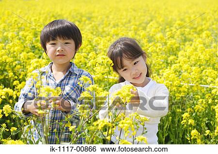 Stock Photograph - Two Japanese children standing in a mustard field. Fotosearch