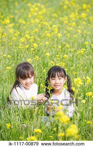 Two Japanese girls sitting in mustard field View Large Photo Image Stock Photo - Two Japanese girls sitting in mustard field. Fotosearch