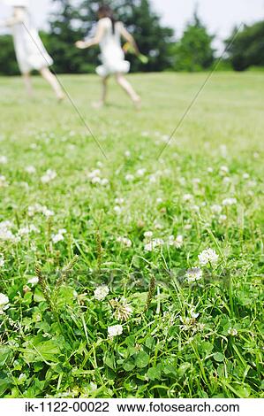 Stock Image - Two women walking in park and flowers in foreground. Fotosearch