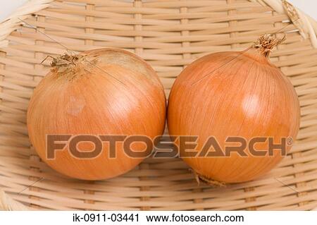 Uncooked Onions View Large Photo Image Stock Image - Uncooked Onions. Fotosearch