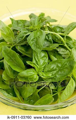 Stock Image - Uncooked spinach in a bowl. Fotosearch