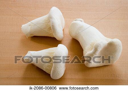 Uncooked White Mushroom View Large Photo Image Stock Photograph - Uncooked White Mushroom. Fotosearch