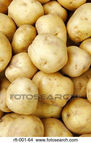 Vegetables View Large Photo Image Picture - Vegetables. Fotosearch