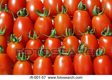 Vegetables View Large Photo Image Stock Photo - Vegetables. Fotosearch