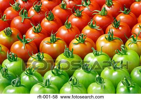 Vegetables View Large Photo Image Stock Photo - Vegetables. Fotosearch