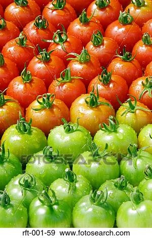 Stock Photo - Vegetables. Fotosearch