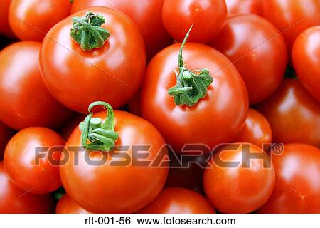 Stock Photograph - Vegetables. Fotosearch