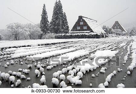 View of Japanese Style House in Shirakawa Village, Japan View Large Photo Image Stock Image - View of Japanese Style House in Shirakawa Village, Japan . Fotosearch