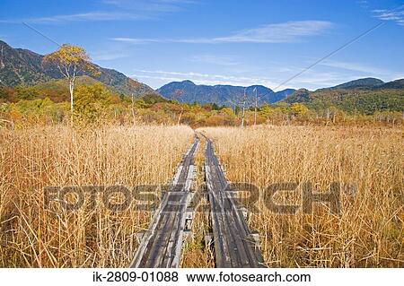 View of Okunikko Field in Tochigi Prefecture, Japan View Large Photo Image Stock Photo - View of Okunikko Field in Tochigi Prefecture, Japan. Fotosearch