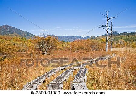 View of Okunikko Field in Tochigi Prefecture, Japan View Large Photo Image Stock Photo - View of Okunikko Field in Tochigi Prefecture, Japan. Fotosearch