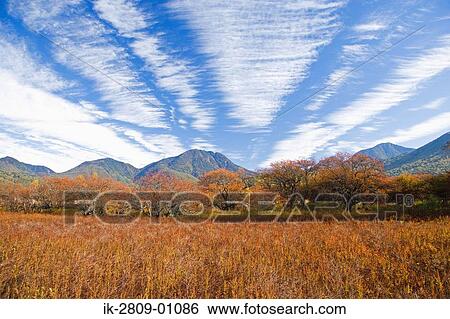 View of Okunikko Field in Tochigi Prefecture, Japan View Large Photo Image Stock Photograph - View of Okunikko Field in Tochigi Prefecture, Japan. Fotosearch