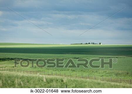 View of Open Field in Alberta, Canada View Large Photo Image Stock Photo - View of Open Field in Alberta, Canada. Fotosearch