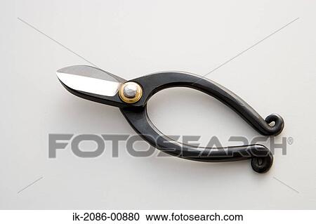 View of Pruning Scissors in Studio View Large Photo Image Stock Image - View of Pruning Scissors in Studio. Fotosearch