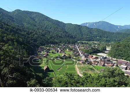 Picture - View of Rice Field and Japanese Traditional House. Fotosearch