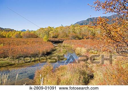 View of River Passing From Okunikko Field in Tochigi Prefecture, Japan View Large Photo Image Stock Image - View of River Passing From Okunikko Field in Tochigi Prefecture, Japan. Fotosearch
