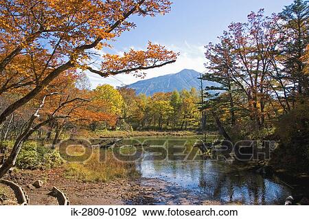 View of River Passing From Okunikko Field in Tochigi Prefecture, Japan View Large Photo Image Stock Image - View of River Passing From Okunikko Field in Tochigi Prefecture, Japan. Fotosearch