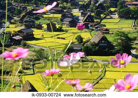 View of Shirakawa Village in Japan View Large Photo Image Picture - View of Shirakawa Village in Japan. Fotosearch