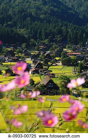 View of Shirakawa Village in Japan View Large Photo Image Stock Photography - View of Shirakawa Village in Japan. Fotosearch