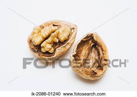Walnuts on White Background View Large Photo Image Stock Image - Walnuts on White Background. Fotosearch