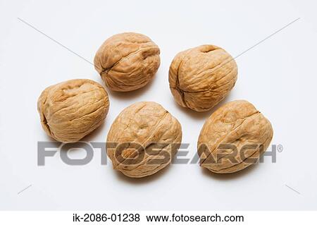 Walnuts on White Background View Large Photo Image Stock Photo - Walnuts on White Background. Fotosearch