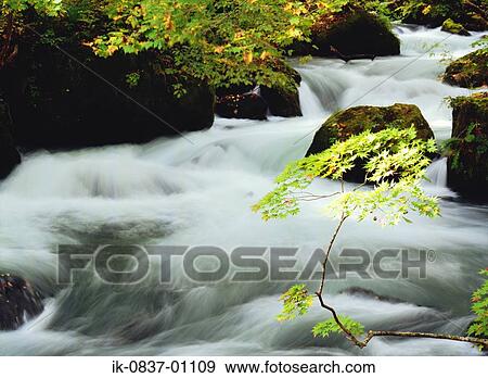 Water flowing on mossy stones View Large Photo Image Stock Photo - Water flowing on mossy stones. Fotosearch