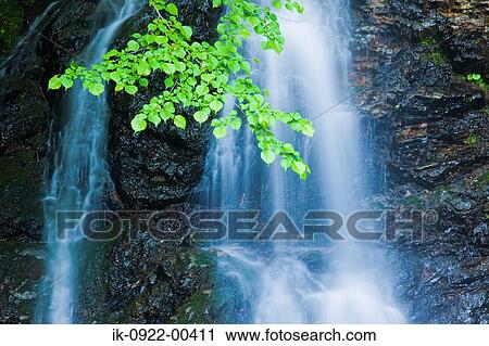 Waterfall in Forest View Large Photo Image Stock Image - Waterfall in Forest. Fotosearch
