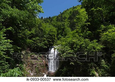 Stock Photo - Waterfall in Forest. Fotosearch